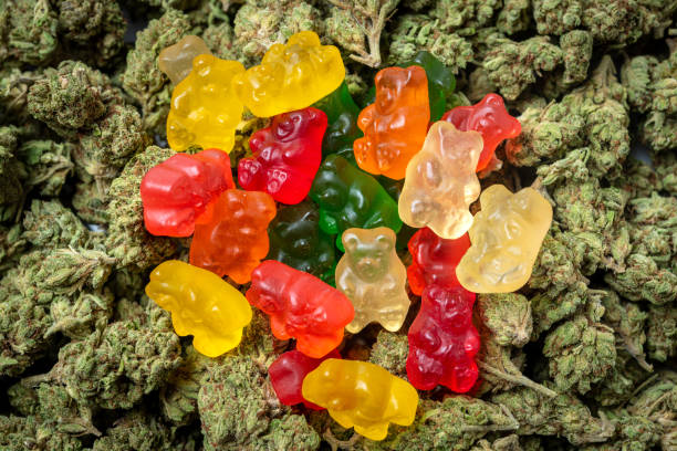 Affordable CBD Gummies in Canada for Daily Wellness